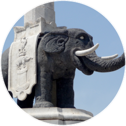 L'elefante di Catania in Piazza Duomo